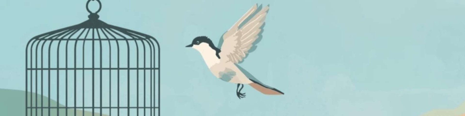 Покрокова техніка, що допомагає пропрацювати почуття провини без самопокарання. Як розділити відповідальність, пробачити себе і перетворити провину на сенс.