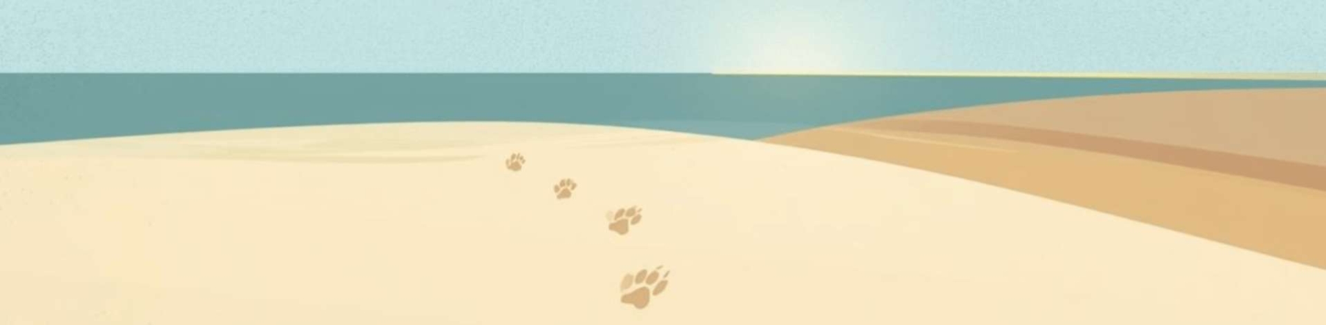 Як прожити провину після того, як на дорозі загинула тварина. Про справжню і хибну провину, способи символічного вибачення, турботу та перехід від болю до доброти.